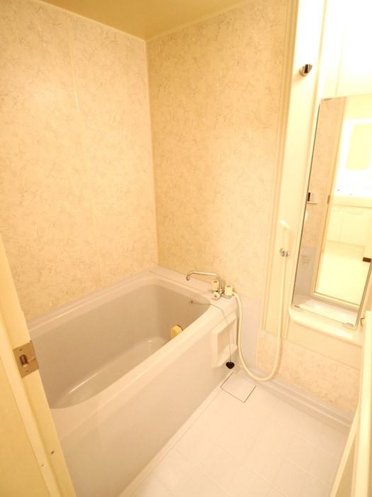 バス／シャワールーム等 ブエナビスタ