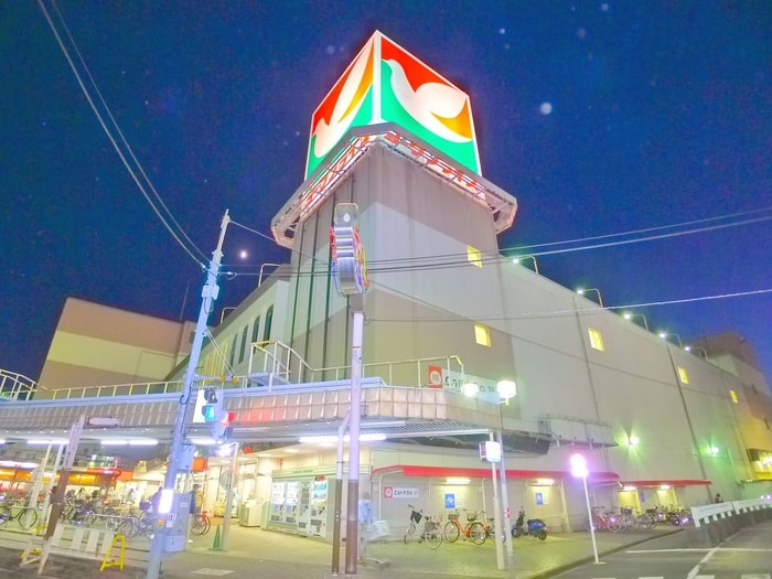 ヨークプライス＋100均(スーパー)まで590m 常盤平５丁目貸家