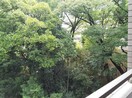 室内からの展望 フォレストコート