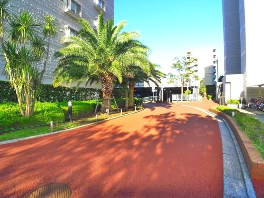 その他 サンパセオ新柏E号棟（806）