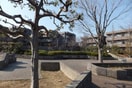 下永谷三丁目公園(公園)まで192m 下永谷コーポ