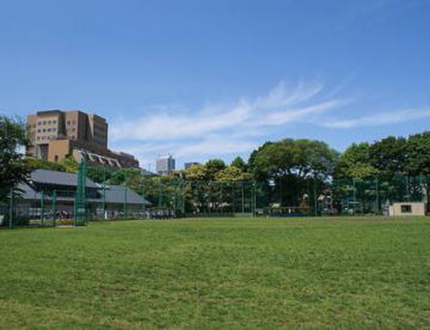 文京区役所区民施設目白台運動公園(公園)まで315m ジュネス目白台