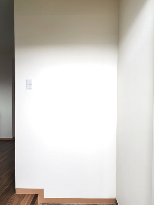 玄関 上鷺マンション