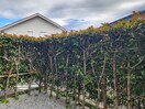 室内からの展望 上鷺マンション