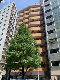 銀座ダイヤハイツ（701）