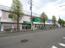 フードワン田奈店(スーパー)まで802m INOVE横濱長津田