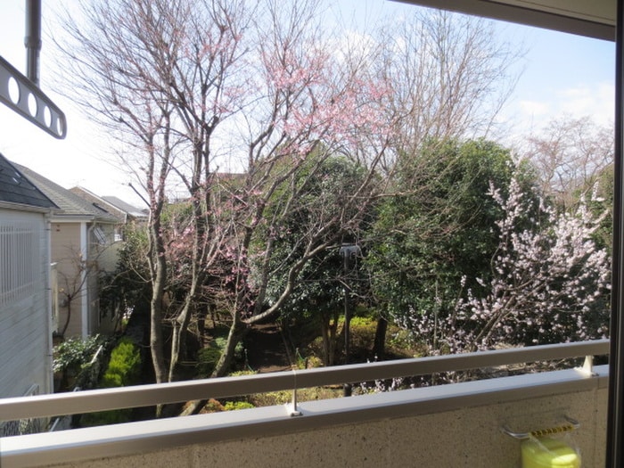 室内からの展望 フォレストコート