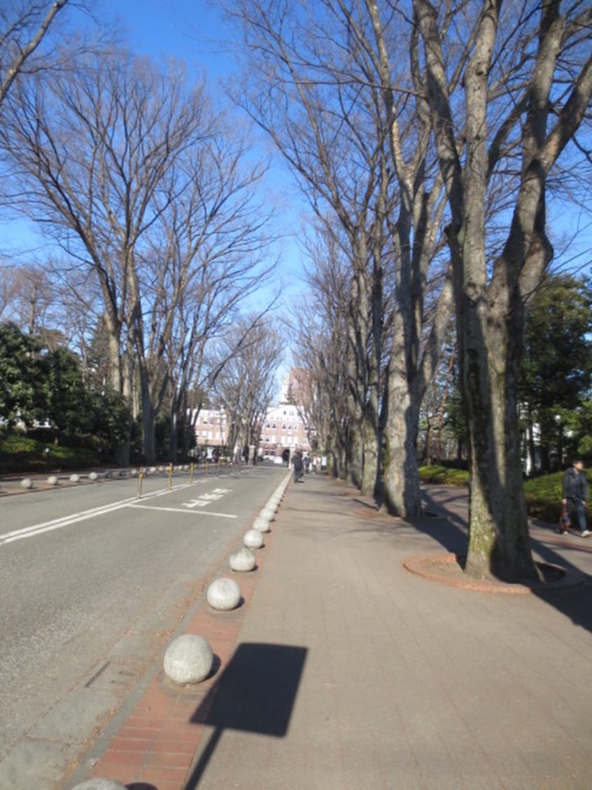 成蹊大学(大学/短大/専門学校)まで570m フォレストコート