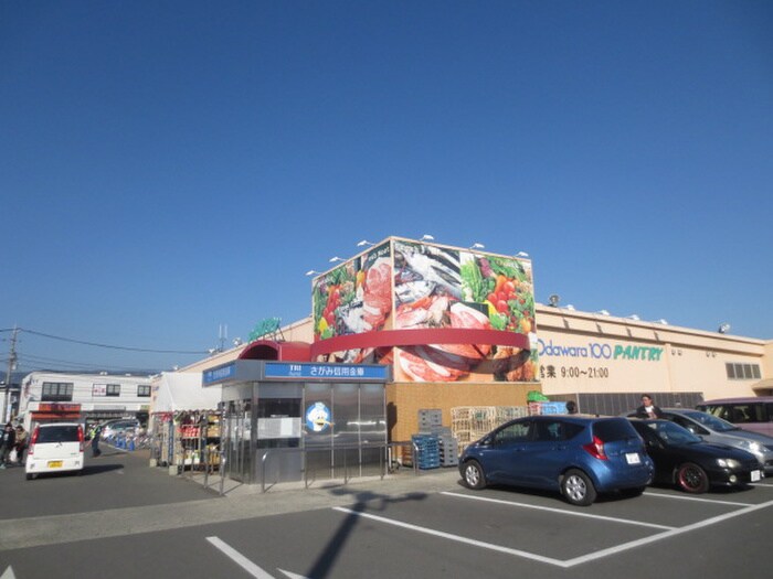 小田原百貨店栢山店(スーパー)まで350m シャトレー