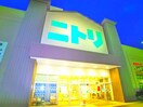 ニトリ　柏店(電気量販店/ホームセンター)まで536m アバンス