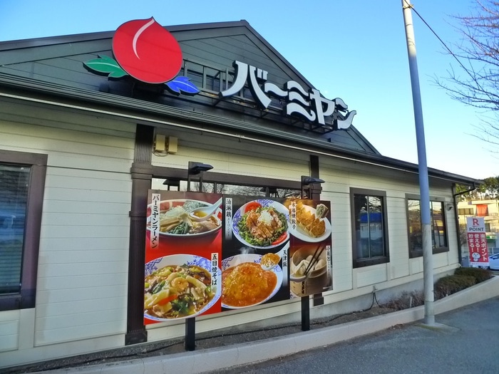 バーミヤン(その他飲食（ファミレスなど）)まで934m テラス平川