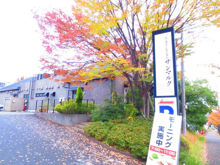 サンマルク 長津田あかね台店(その他飲食（ファミレスなど）)まで513m ルミナス・ＭⅢＣ