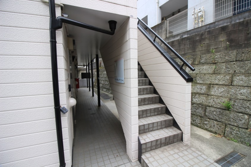 その他 エバーグリーン白楽