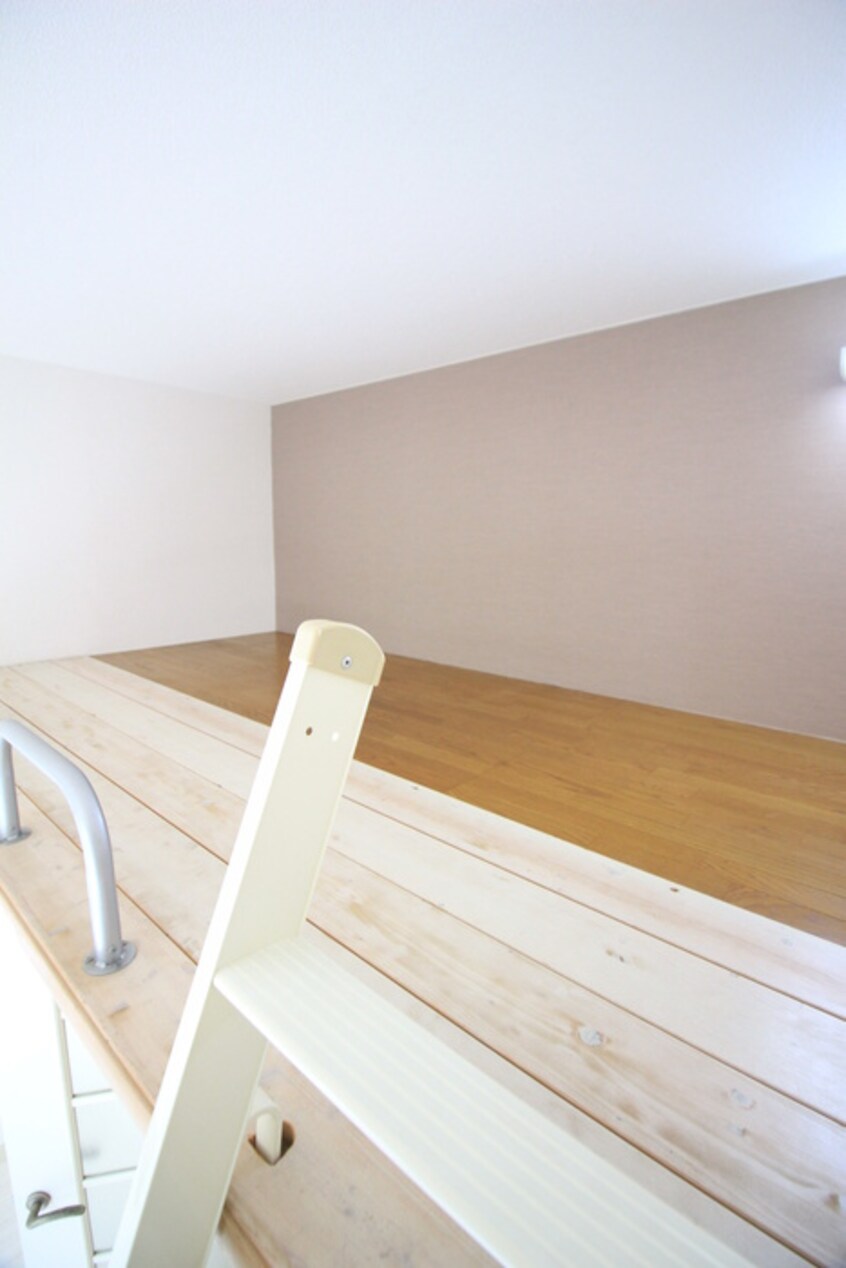 ロフト エバーグリーン白楽