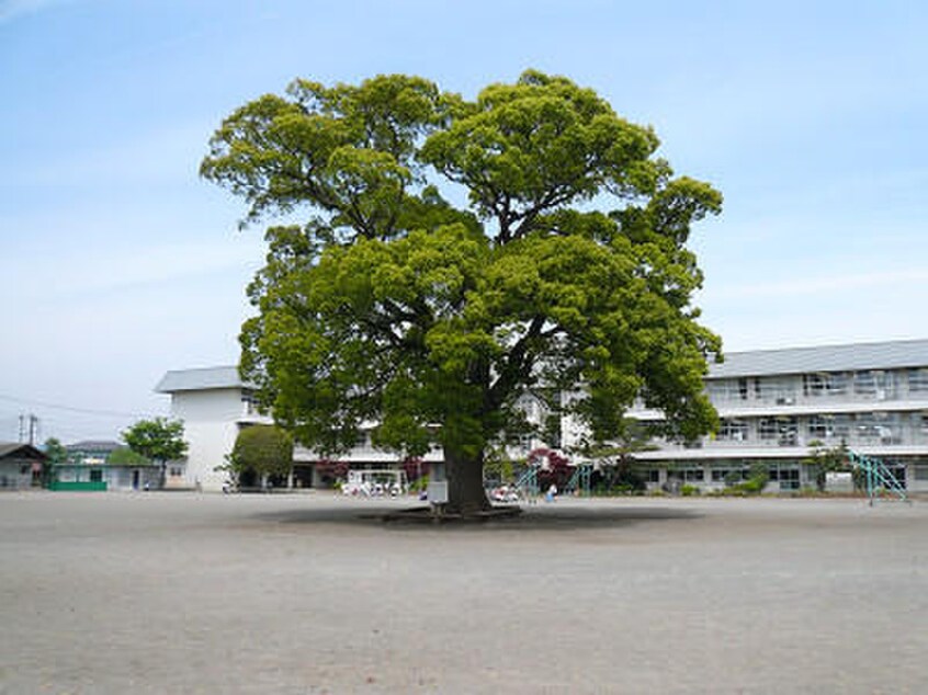 相模原市立新磯小学校(小学校)まで944m ドミ－ル石川