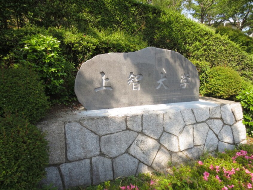 私立上智大学短期大学部(大学/短大/専門学校)まで518m シャトレ－トミ－