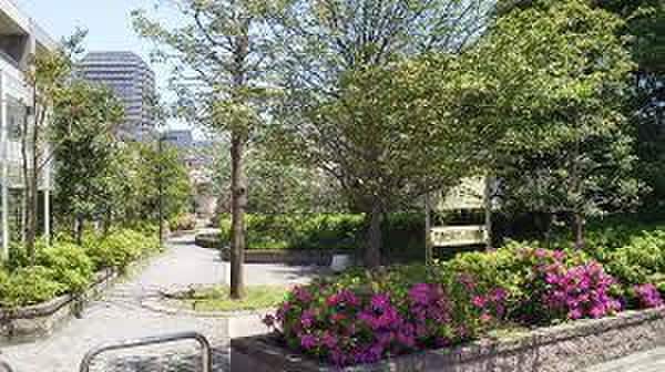 桜台かしのき緑地(公園)まで355m 桜台サチパレス