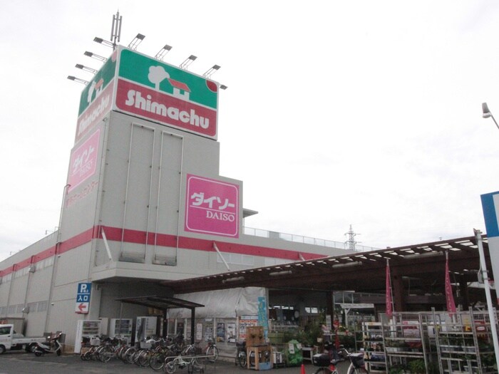 島忠(電気量販店/ホームセンター)まで344m 臼倉ハイツ