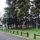 東林間1丁目ふれあいの森(公園)まで865m ライズ相模大野