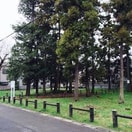 東林間1丁目ふれあいの森(公園)まで865m ライズ相模大野