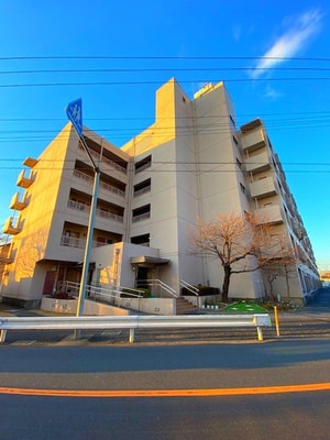 コーポ根岸（506）