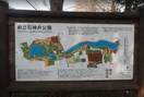 石神井公園(公園)まで300m オリ－ブ