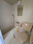 洗面 エステ－トロイヤル