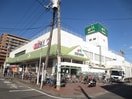 マルエツ(スーパー)まで492m シ－サ－