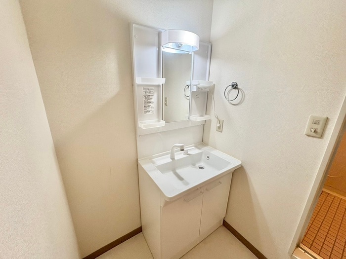 洗面 ピサ－リパルク