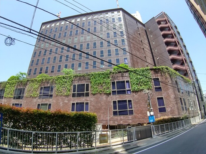 中央区役所(役所)まで980m アネーロ銀座