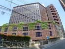 中央区役所(役所)まで980m アネーロ銀座