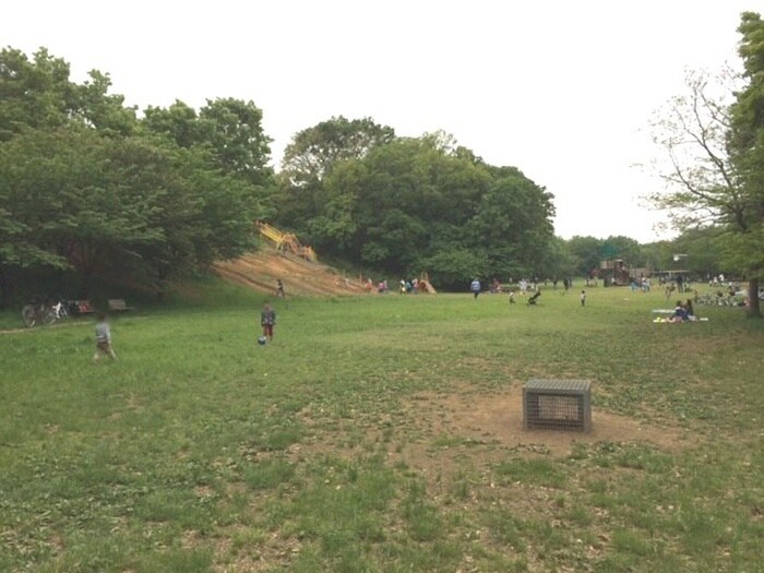 菅生緑地(公園)まで668m ラフレ水沢