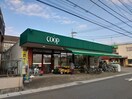 ユーコープ菅店(スーパー)まで509m ブルーハイムＰａｒｔ５