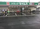 ドラッグセイムス月吉町店(ドラッグストア)まで1000m 仲町レヂデンス