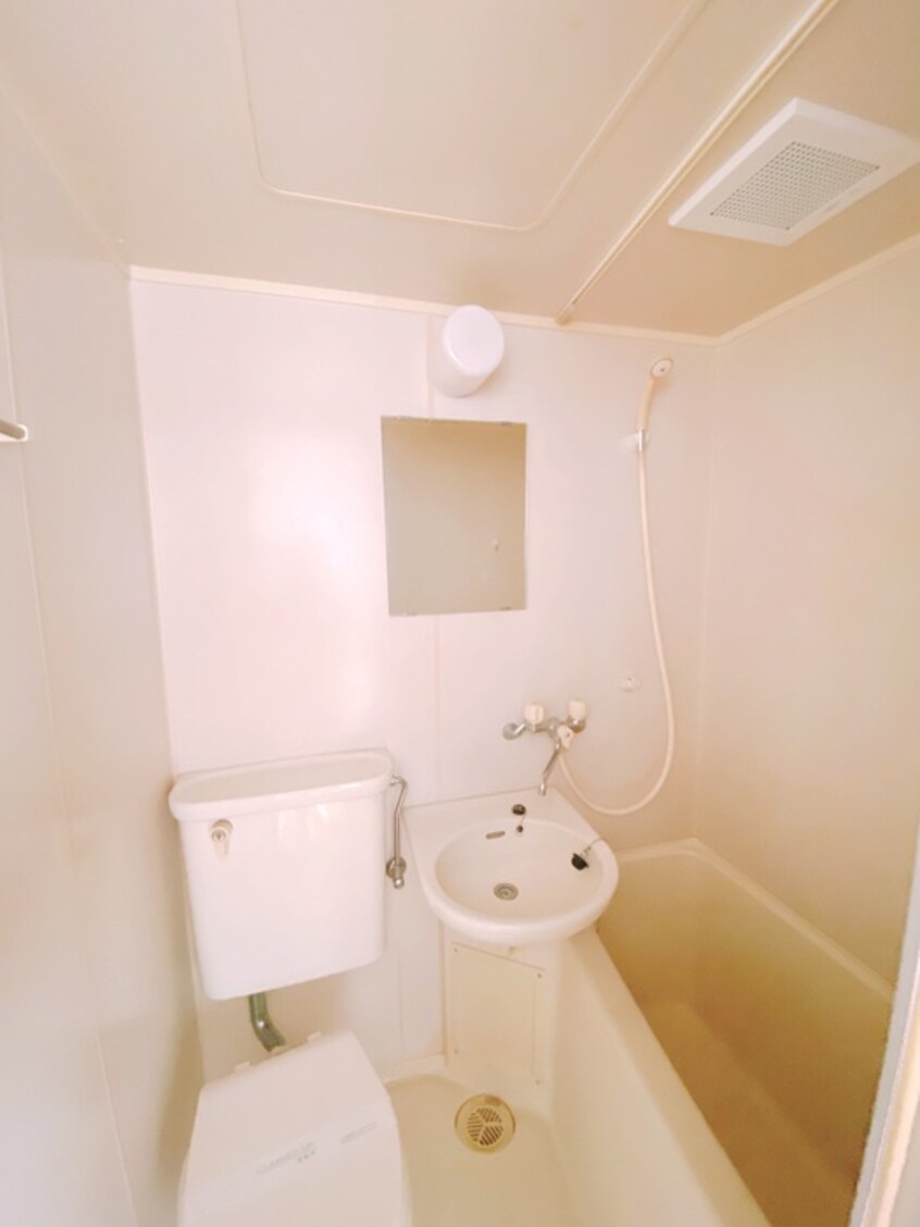 洗面 パインクレスト