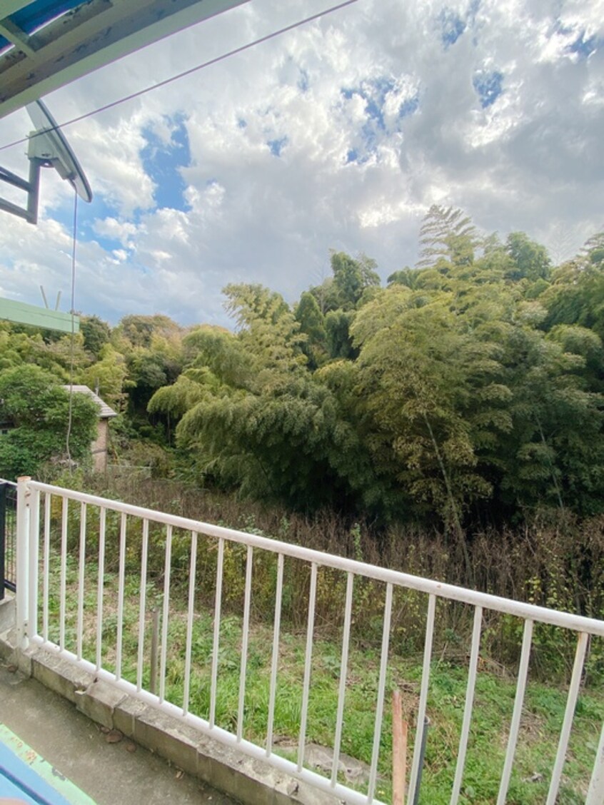 室内からの展望 パインクレスト