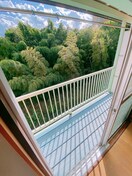 ベランダ・バルコニー パインクレスト