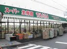 スーパー生鮮館ＴＡＩＧＡ(スーパー)まで550m 第１３鈴木ﾋﾞﾙ