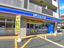 ローソン(コンビニ)まで260m フォ－シ－ズン