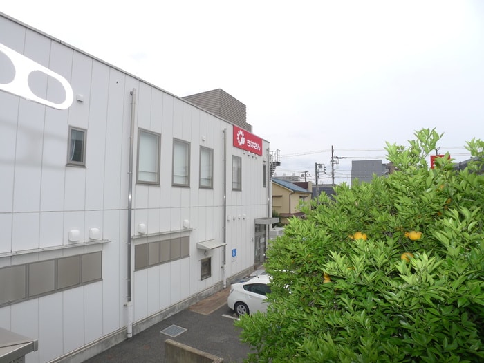 室内からの展望 プリムラ