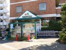 マルエツ二子玉川店(スーパー)まで363m 河野ハイム　No.1