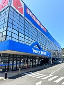 電機テックランド戸田美女木店(電気量販店/ホームセンター)まで450m ハイム　エスペランサ