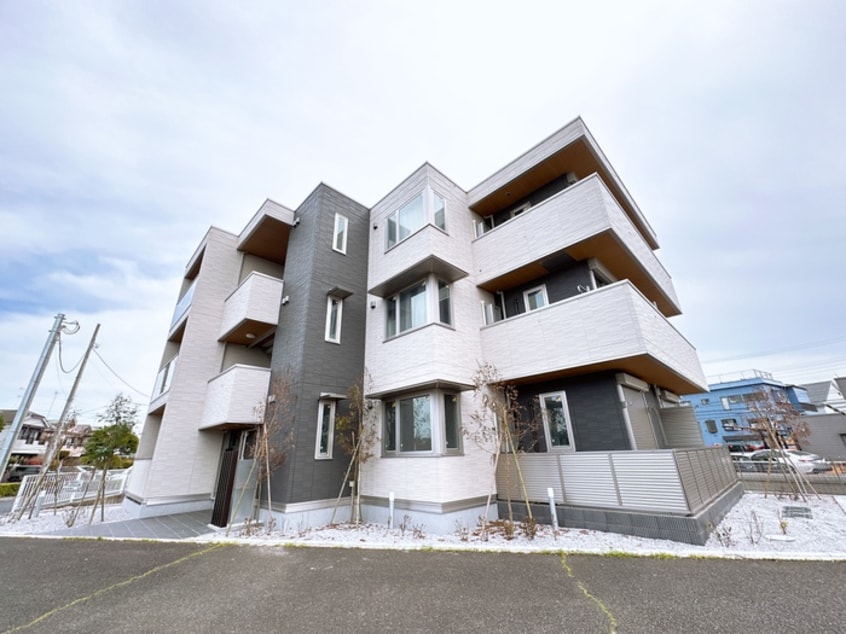 外観写真 Gypsophila