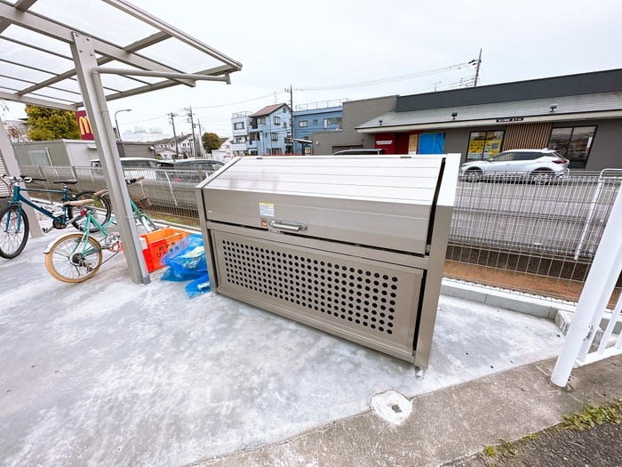 その他 Gypsophila