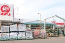 コメリハード＆グリーン府中日新店(電気量販店/ホームセンター)まで378m Gypsophila