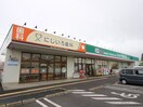 ドラッグセイムス相模原上溝店(ドラッグストア)まで278m エステート会沢