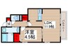 アムールライフタウン 1LDKの間取り