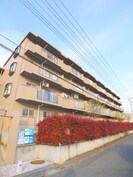 エントピアの外観