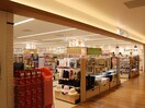 キャンドゥ　東急スクエア店(100均)まで1015m 郷田ビル