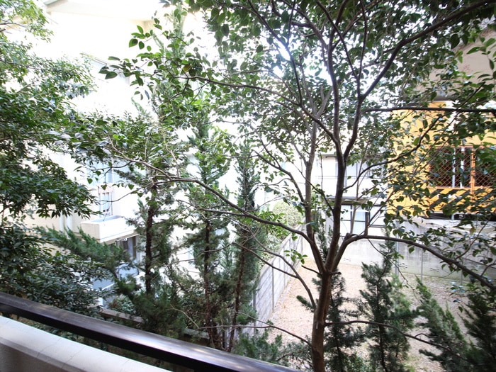 室内からの展望 ビューラー３１６